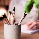 SproutWorld-Plantable-pencils-in-vase-2.webp